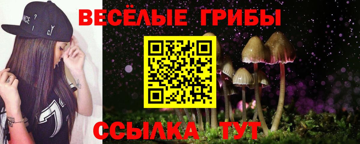 Псилоцибиновые грибы MAGIC MUSHROOMS  Галлюциногенные грибы прущие грибы  Вход с VPN  Жигулёвск 