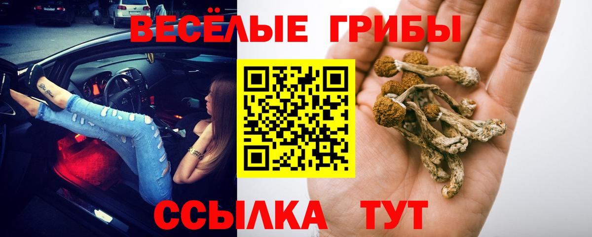 Псилоцибиновые грибы GOLDEN TEACHER Жигулёвск